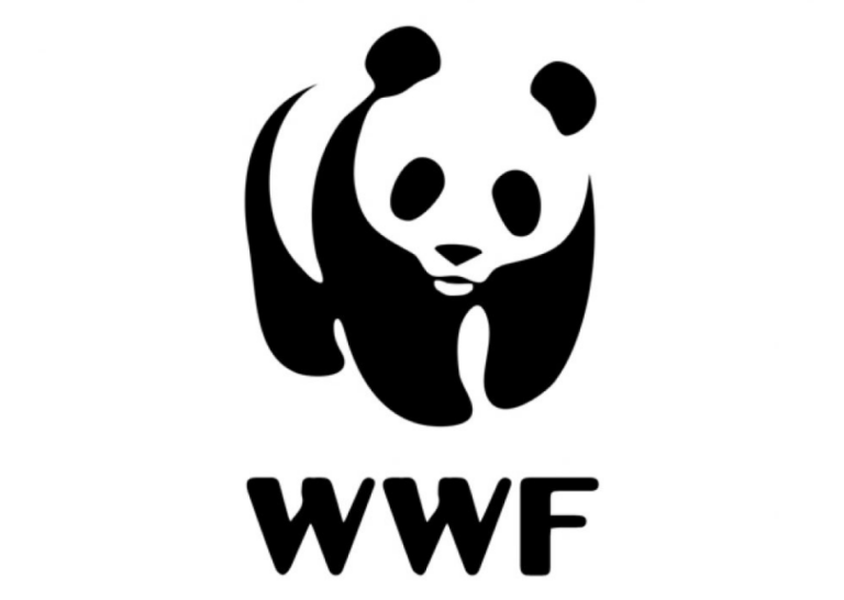 Captura de pantalla 2025-01-03 a la(s) 17.27.07